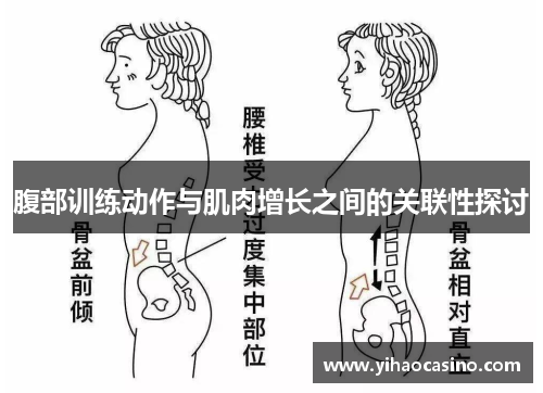 腹部训练动作与肌肉增长之间的关联性探讨